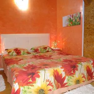 Orange Flower Sofia